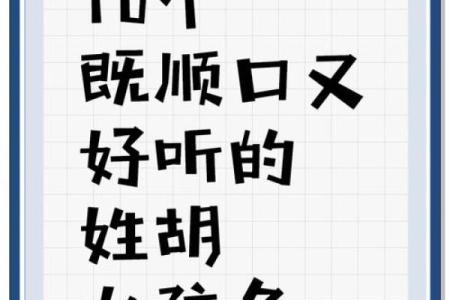 胡姓女孩名字大全-胡姓女孩起名字大全-胡姓名字大全姓名