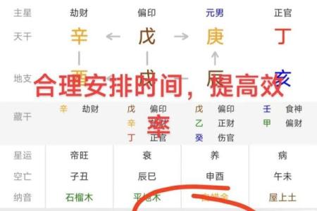 八字排盘哪里比较准