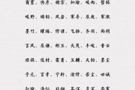 下午出生的属虎男孩应该起什么名，宜用什么字姓名