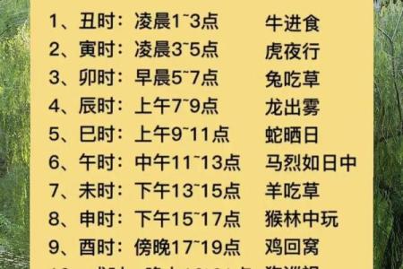 风水女孩最怕在哪个时辰出生