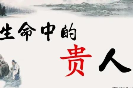 哪些人八字中不宜吃狗肉