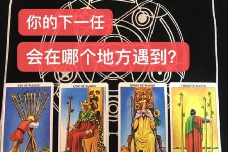 塔罗测试：你能让花花公子回头，专一痴情嘛？