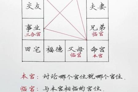 紫微斗数任务在哪接 紫微斗数引导任务？
