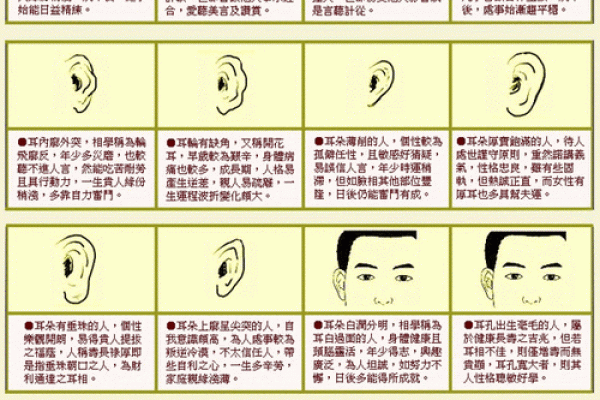 女人耳朵看相算命