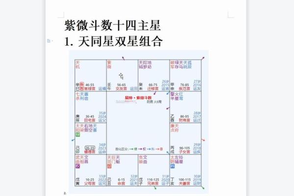 紫微斗数142 紫微斗数14主星顺序？