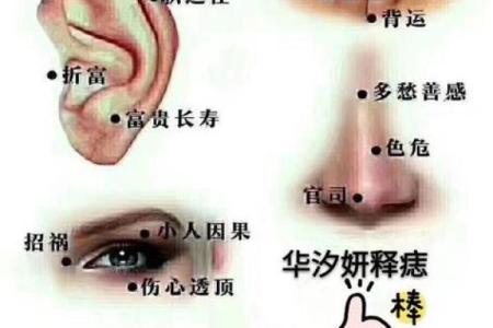 女人耳朵看相算命