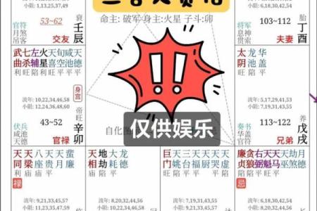 算个紫微斗数 算紫微斗数用什么ai？