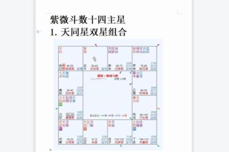 紫微斗数142 紫微斗数14主星顺序？