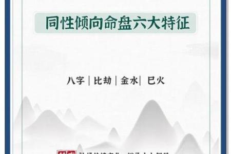 八字同性恋