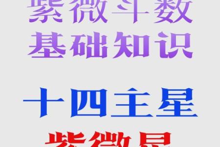 紫微斗数疾厄宫什么星都没有