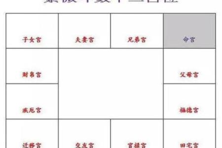 紫薇斗数死绝都有
