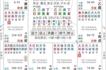 紫微斗数之看疾病／灾难