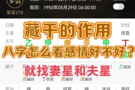 八字属阳的女人命运