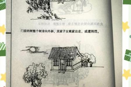 树上的房子风水