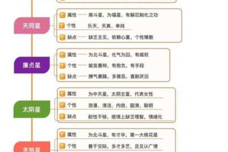 紫微斗数之子女宫与诸星，廉贞星在子女宫是什么意思？