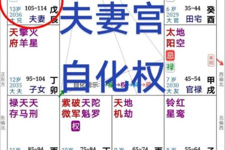 紫薇星盘八字算命