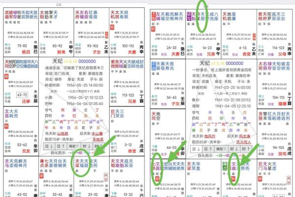紫微斗数诸星落诸宫之:天机星迁移宫详解 紫微斗数诸星落诸宫之:天机星迁移宫详解
