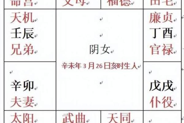 紫微斗数紫薇星排盘