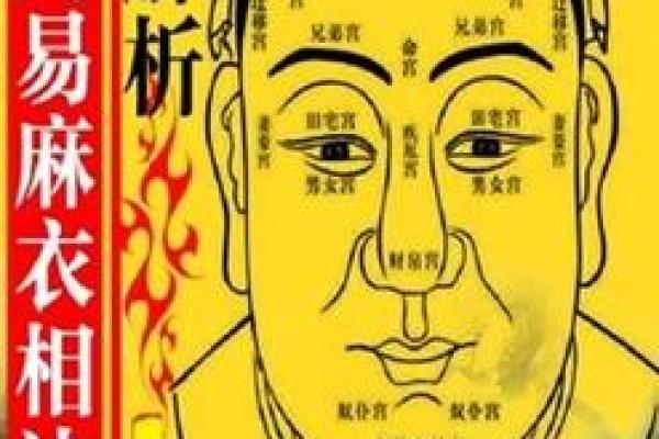脸上长毛风水