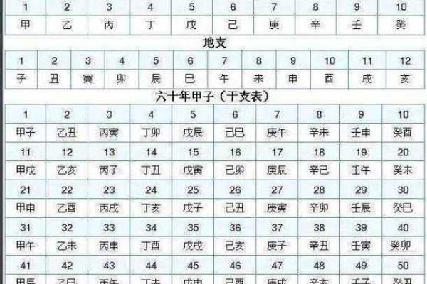 怎么查自己八字,如何查四柱