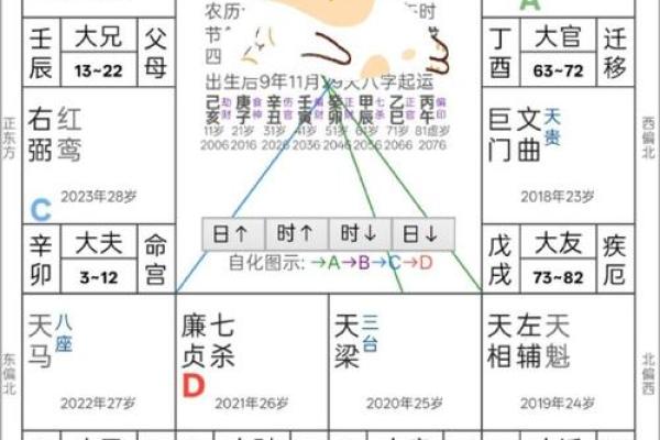毛紫薇斗数