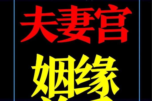 紫微命盘看嫁给一个富裕的家庭和那些紫薇生活盘有一个高贵的丈夫