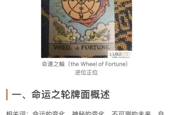 塔罗牌测试一生财运