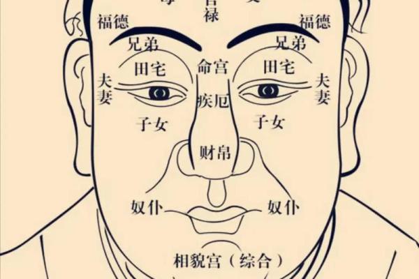 紫薇斗数命宫对应