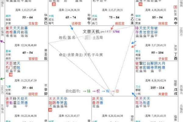 浅谈紫微斗数的六线十二宫