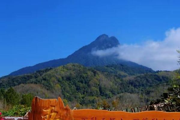 五指山算命哪里准
