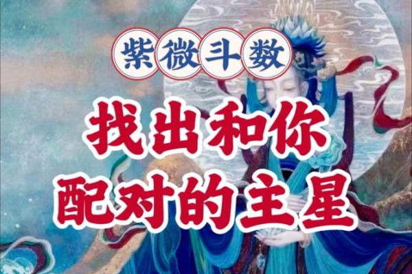 紫薇斗数婚姻配对