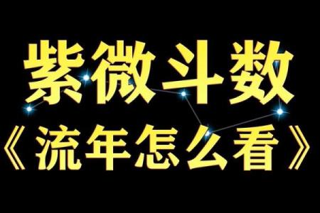高道原紫微斗数实战网盘 高道原紫微斗数培训班？