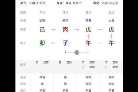 地支八字