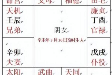 紫微斗数紫薇星排盘