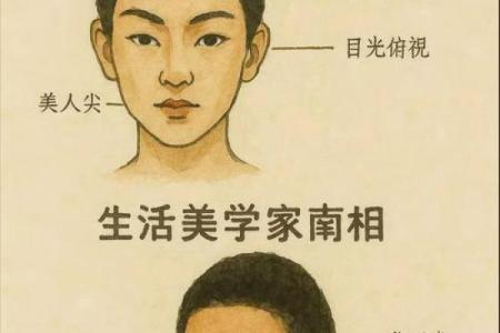 脸上长毛风水