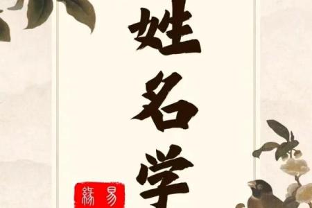 姓宗政的名人-姓名学-华易算命网姓名