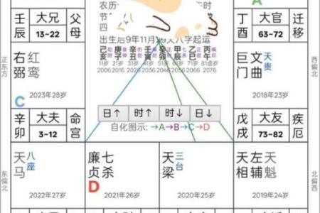 毛紫薇斗数