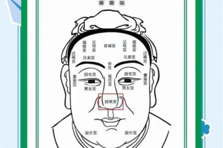 为什么说大鼻子女人不能要风水观点