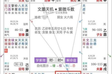 紫微斗数诸星落诸宫之：紫微星兄弟宫详解
