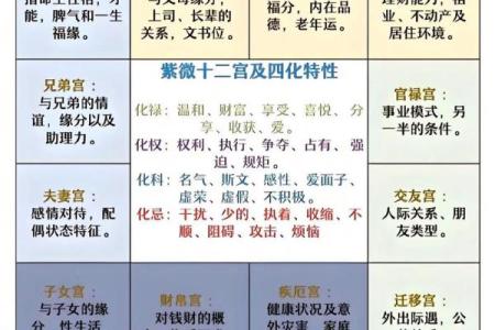 紫薇斗数婚姻配对