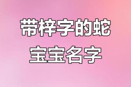 梓小孩的名字测试打分