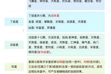 紫薇斗数软件破解