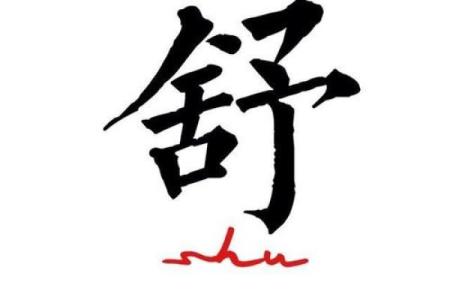 舒姓女孩名字大全-舒姓女孩起名字大全-舒姓名字大全姓名