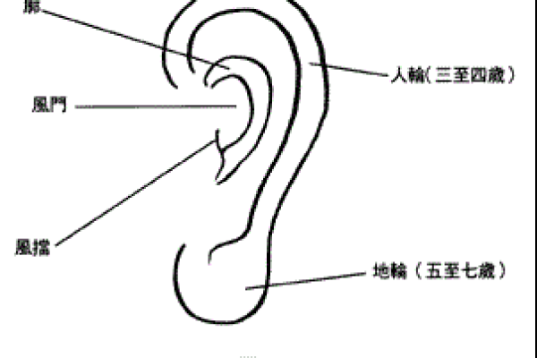 胎记算命图解好坏