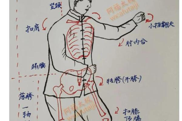 形意拳八字功