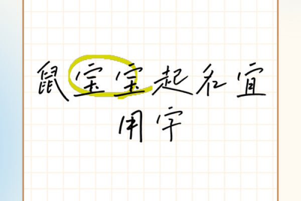 上午出生的属鼠男孩起名宜用什么字姓名