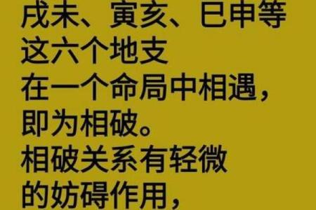 八字算命生肖相冲是什么意思