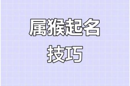 6月份出生的属猴男孩什么名最好-姓名