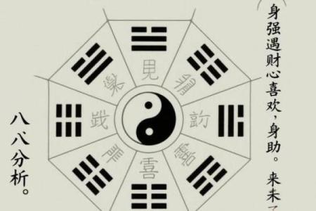 外向的八字