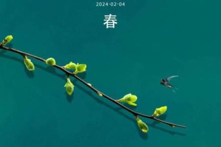 立春风水养阳助生发运气好的方法如何实现